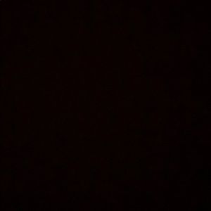 Meet your Posher, Gloria